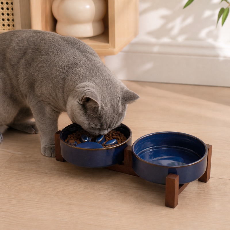 2027 Japanese-style Kiln Ceram - Royal Canin Food Medium ulasan dan harga