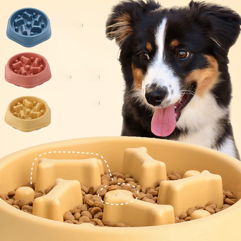 Slow Feeder Dog Bowl Non Slip  - Royal Canin Food Medium ulasan dan harga